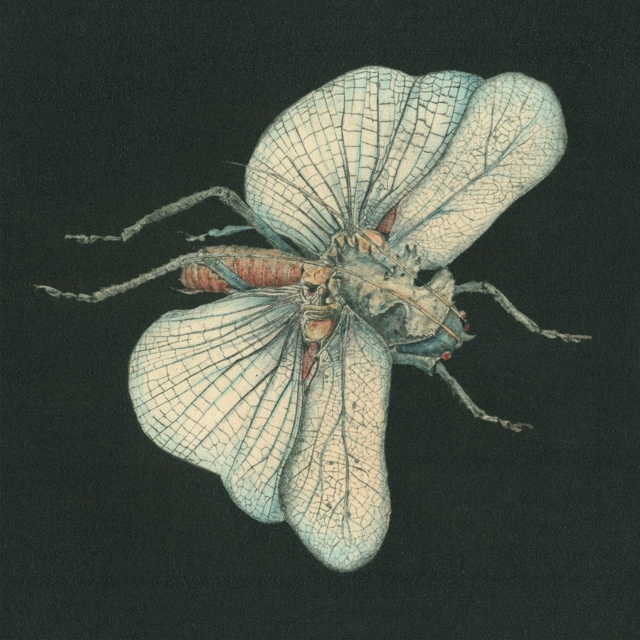 Top 15 Albums of 2018 The Futz Butler